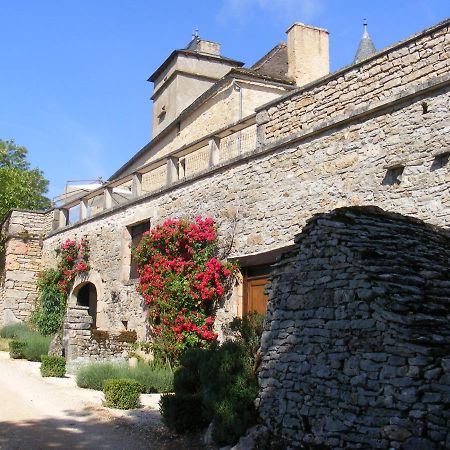 Chateau De Laumiere Promilhanes Exteriér fotografie