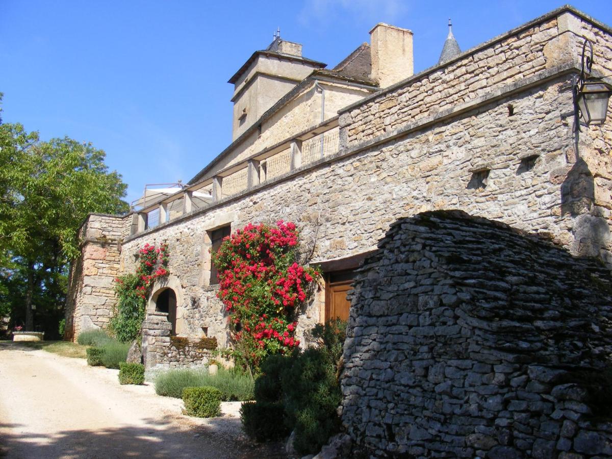 Chateau De Laumiere Promilhanes Exteriér fotografie